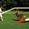 agility 2011-08